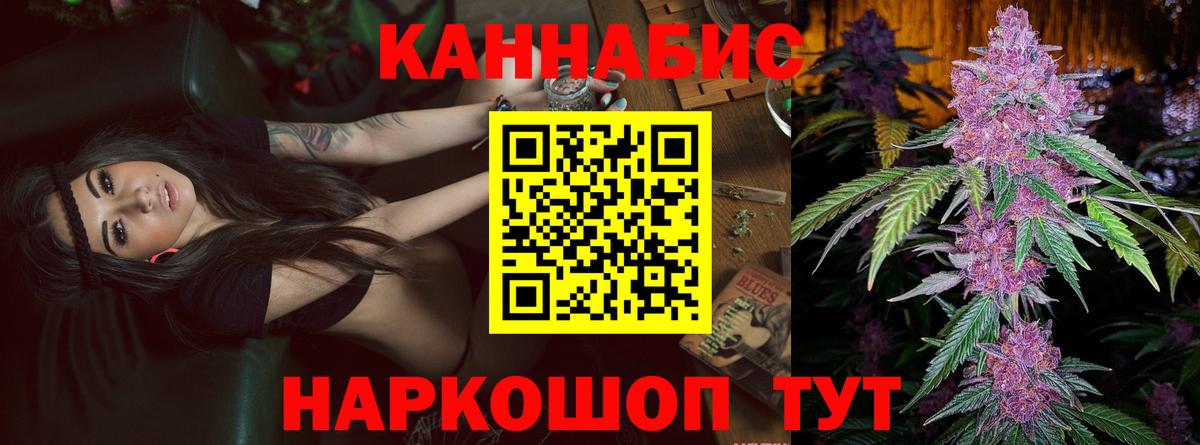 Марихуана план  Бошки марихуана тримм  Шишки марихуана марихуана  Камышлов  Вход с VPN 